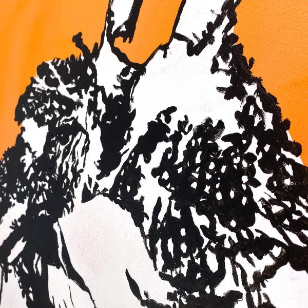 Australia Art Buy Direct From Artist